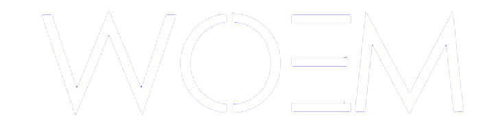 Women of Excellence Ministries